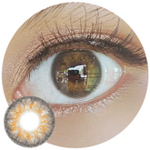 Sweety Iris Brown